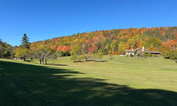 Sydney City Coastline and Blackett's Lake Tour