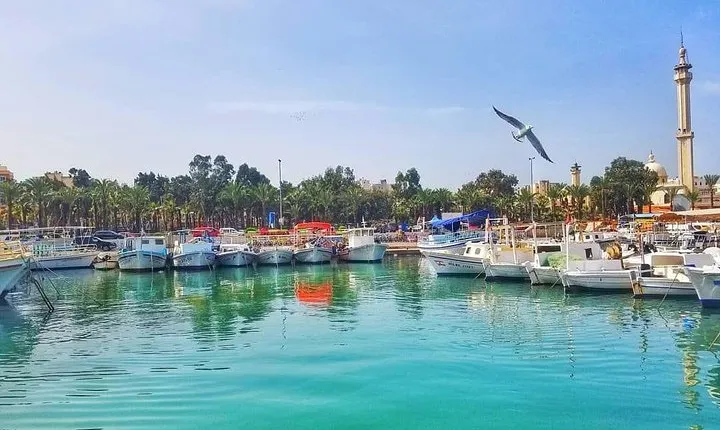 Discovering Lebanon's Charms: A Private Tour to Tripoli & Batroun
