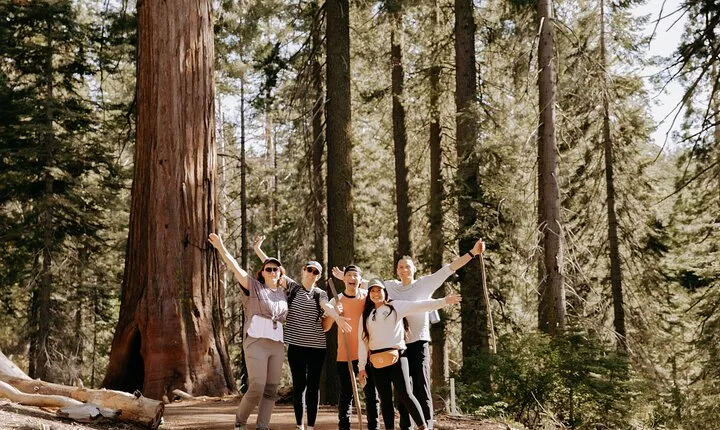 Yosemite National Park & Giant Sequoias 2-Day Semi-Guided Tour