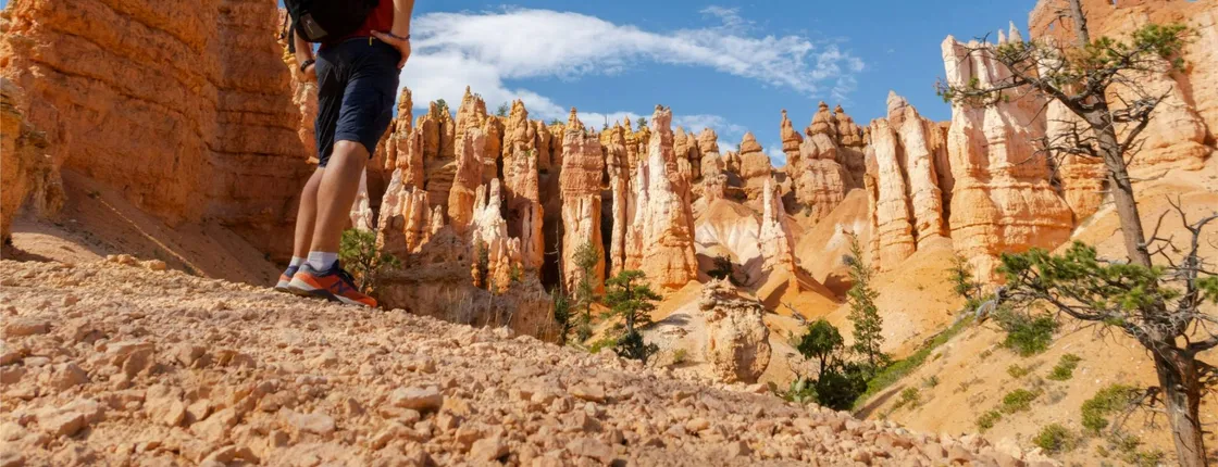 Zion and Bryce National Park 2-day tour with lodging