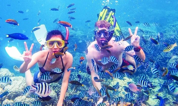 Snorkeling Excursion in Ras Mohammed and White Island