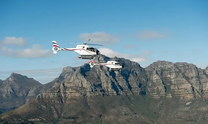 Cape Town Helicopter Tour: Atlantic Coast