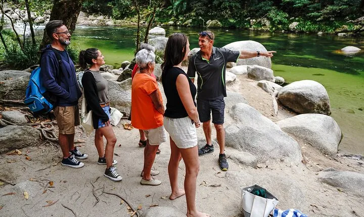 Afternoon Daintree Tour with River Cruise from Port Douglas