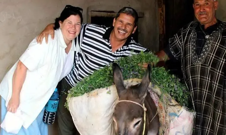Half Day Fez Guided Cultural Tour at the Heart of Morocco