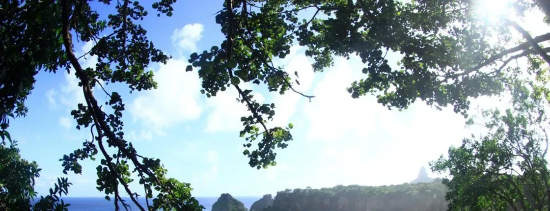 Costa dos Mirantes guided tour