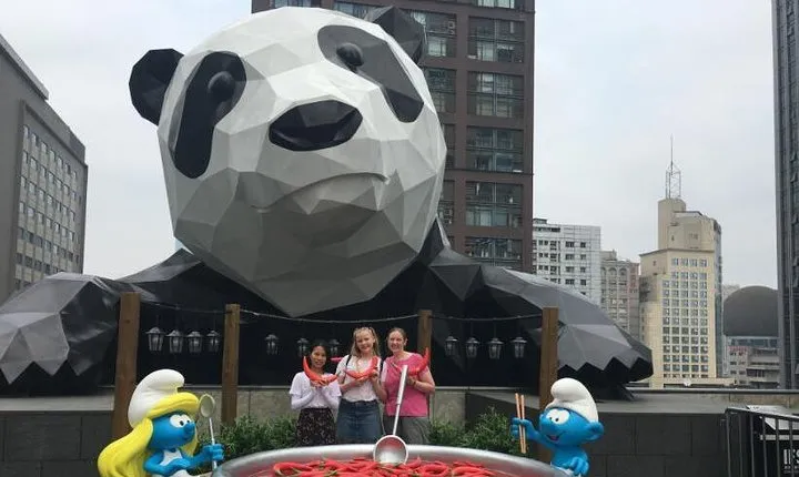 Chengdu Private Tour of Panda Experience