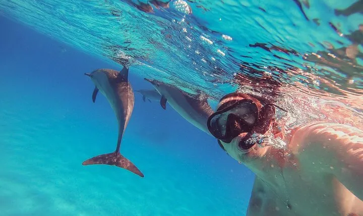 Swim with Dolphins at Samadai Reef Day Trip & Lunch - Marsa Alam