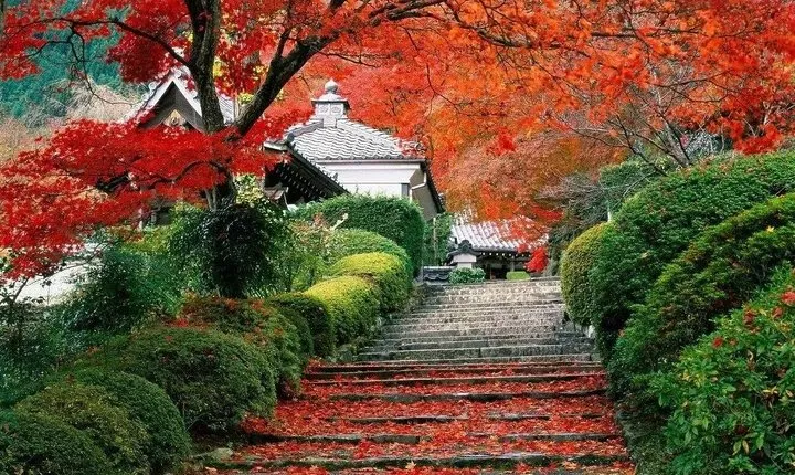 Beijing Private Tour to Summer Palace and Fragrant Hill with Cable Car Ride