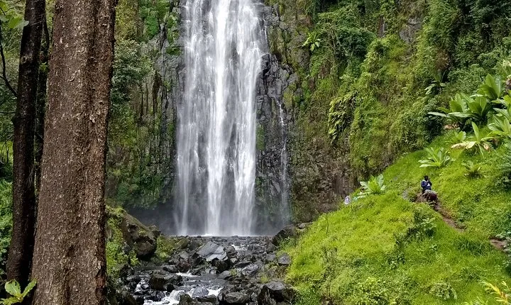 Full Day Private Tour to Materuni Waterfalls, Coffee Tour & Kikuletwa Hot Spring