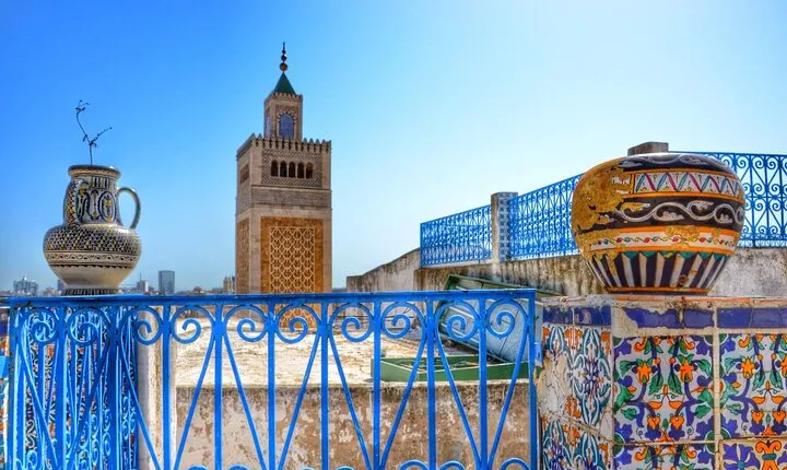 Half-Day Bardo Museum and Tunis Medina Tour with Licensed Guide