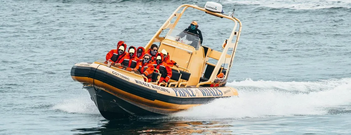 Zodiac Whale Watching Adventure From Victoria