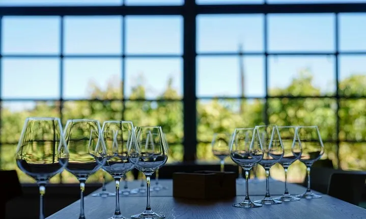 Private Viña Edén Winery Tour from Punta del Este