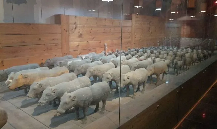 Private Day Trip to Terracotta Warriors and Jingdis Tomb