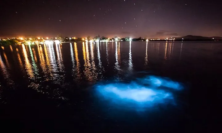 Luminous Lagoon Tour from Montego Bay