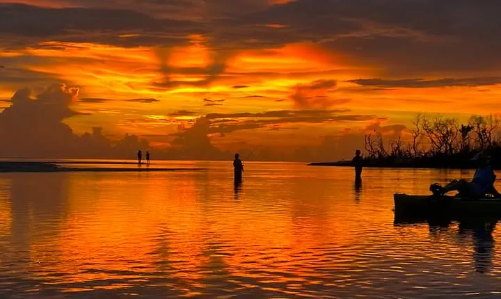 Naples Guided Sunset Kayak Tour Activity
