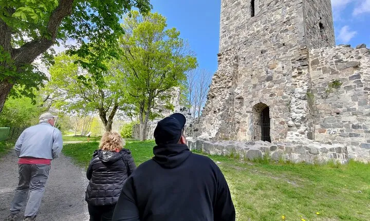 Viking History, Fika & Countryside 9h Tour to Sigtuna & Uppsala
