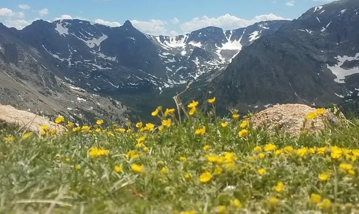 Rocky Mountain National Park in Summer Tour from Denver