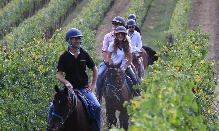 Horseback Riding with Wine Tour from Florence