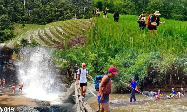 One Day Jungle Trek, Hill Tribe and Bamboo Rafting