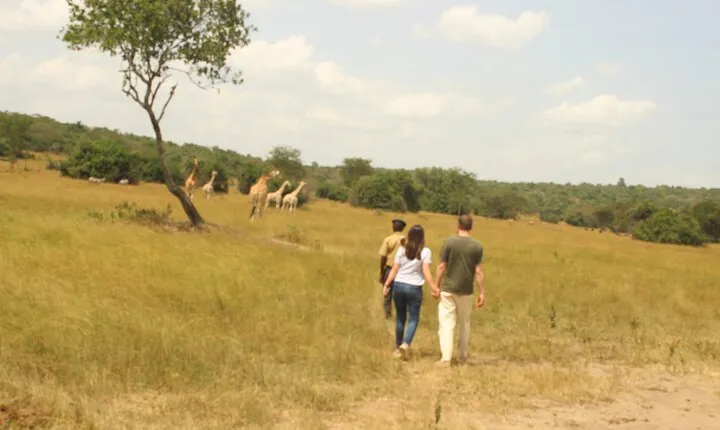 2 Day Lake Mburo National park wildlife Safari