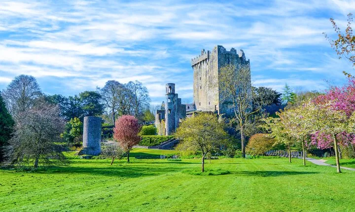 Private Tour From Dublin to Blarney Castle and Rock of Cashel