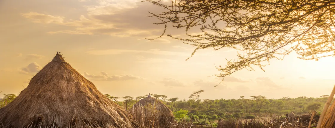 Kaya Kinondo Sacred Forest half-day tour from Mombasa south coast