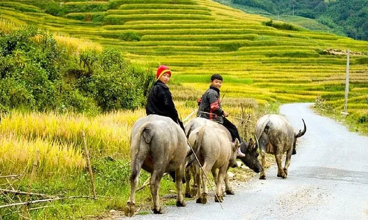 2-Day SAPA Trekking - Villages-Homestay-Ethnic-Local Food-Market