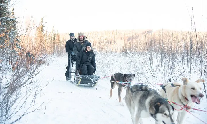 Dogsled and Reindeer Day Trip to Borealis Basecamp