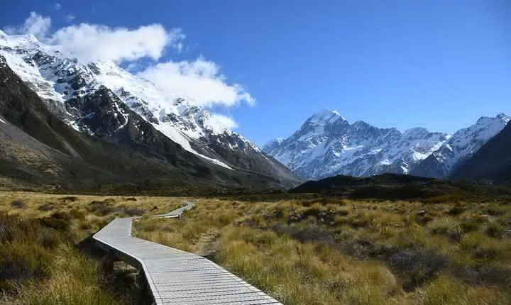 Mt Cook Small Group Day Tour via Lake Tekapo From Christchurch