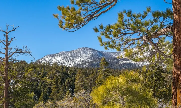 From San Diego: Two-Day Camping and Hiking Adventure in Idyllwild