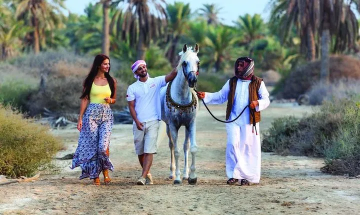 Arabian Morning Horse Riding & Stable Tour