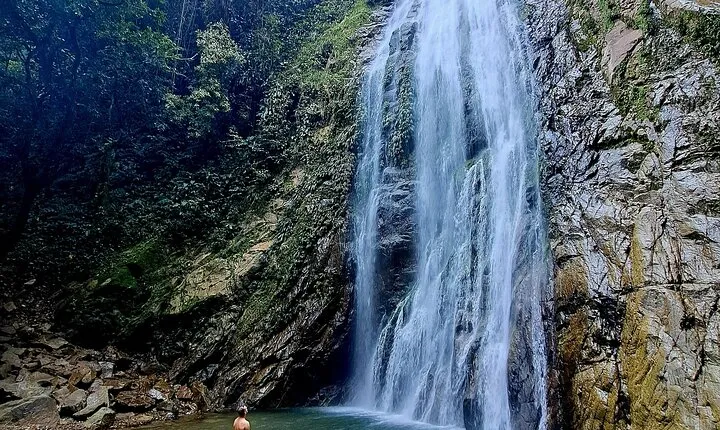 Swim Under the Waterfall and Hike the Jungle Trip from Medellín