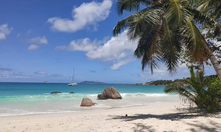 Private Vallee De Mai and Anse Lazio Tour