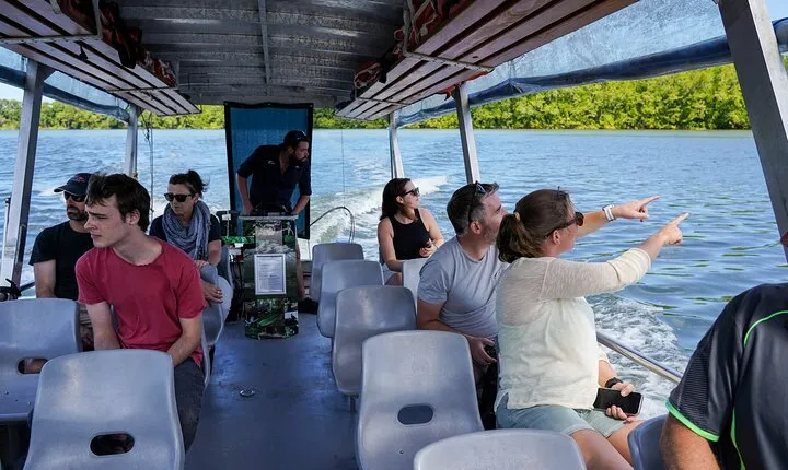 Morning Daintree Tour with River Cruise from Port Douglas