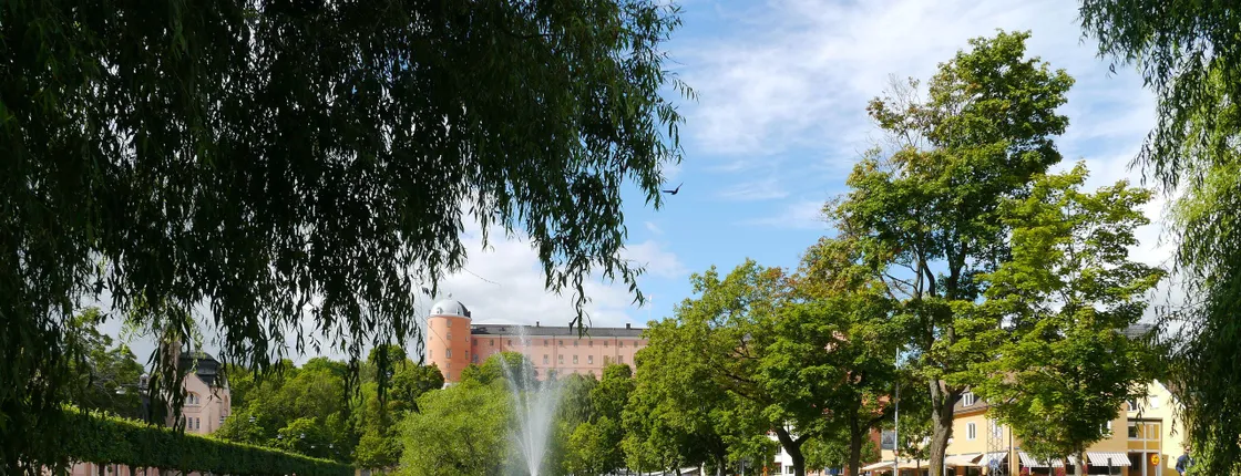 Learn about the reformation king of Uppsala on a guided walking tour