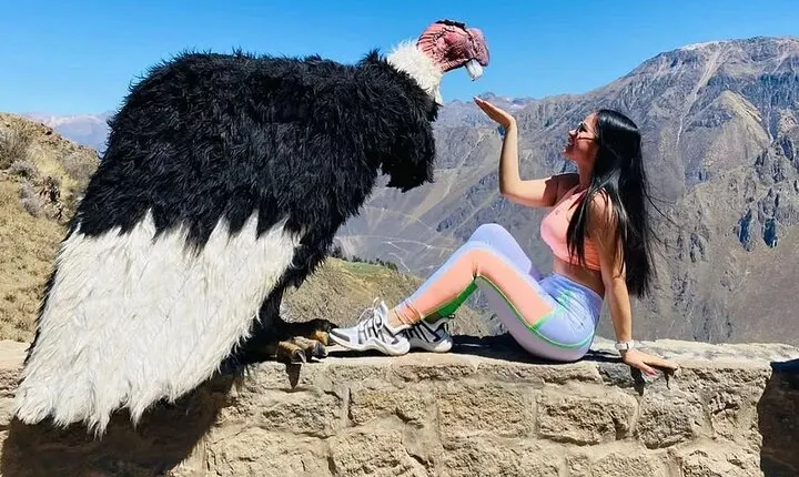 Arequipa : Colca Canyon 2 Days & 1 Night - Advenure