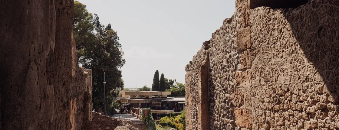 Tour of Pompeii with an archaeologist