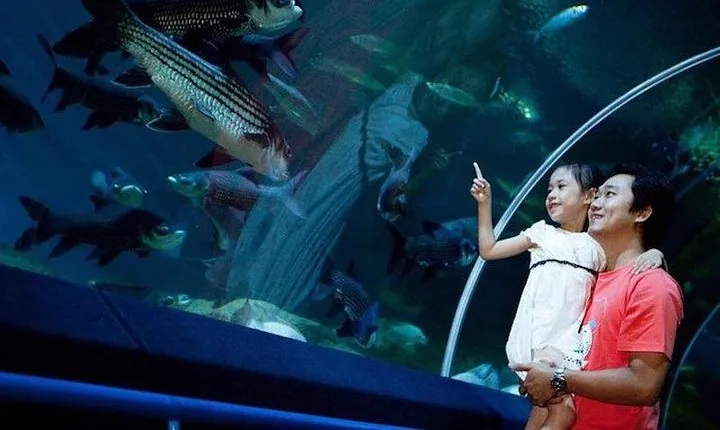Underwater World Admission Ticket at Pattaya