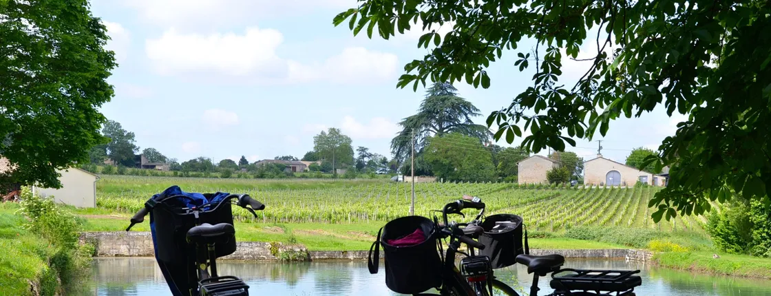 Bike tour in heart of Saint-Emilion’s vines