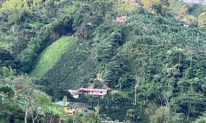 Private Visit to Organic and Craft Coffee Farm in Risaralda