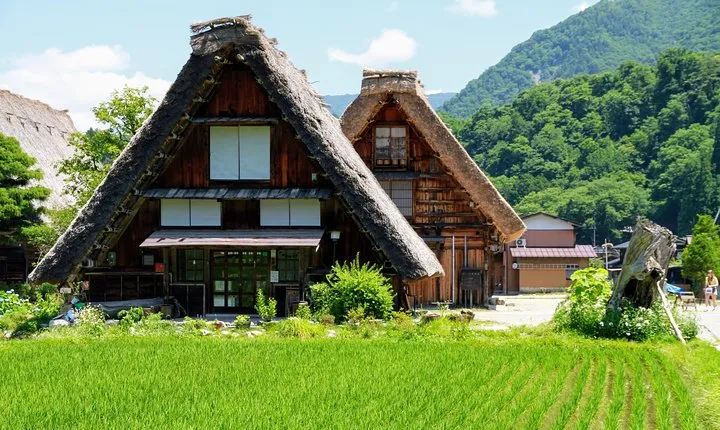 Private Tour of Shirakawago from Kanazawa (Half Day)