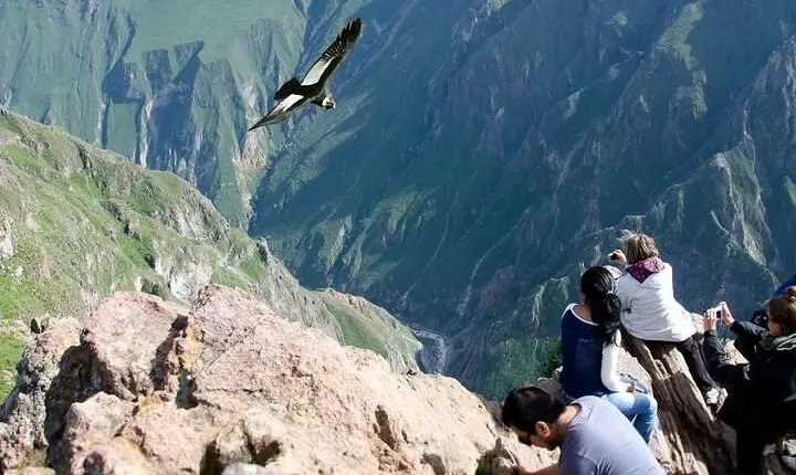 Full Day Tour to Colca from Arequipa