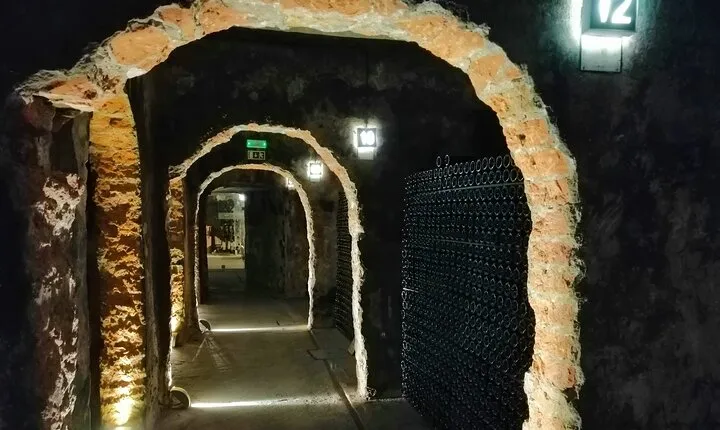 Bairrada Winery Route, half day from Coimbra