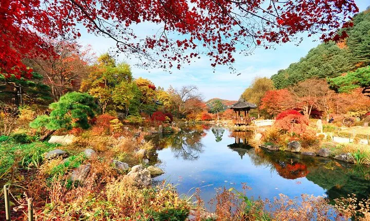 Day Trip to Nami Island with The Garden of Morning Calm