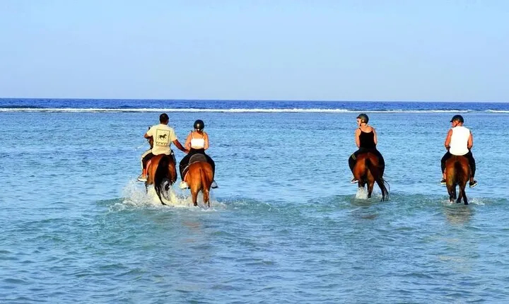 Horseback riding in Marsa Alam and Port Ghalib