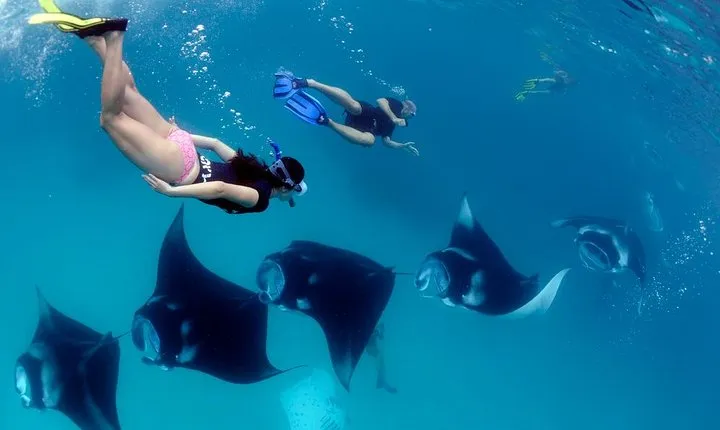 One Day Snorkeling Trip & West Tour Nusa Penida by Penidago