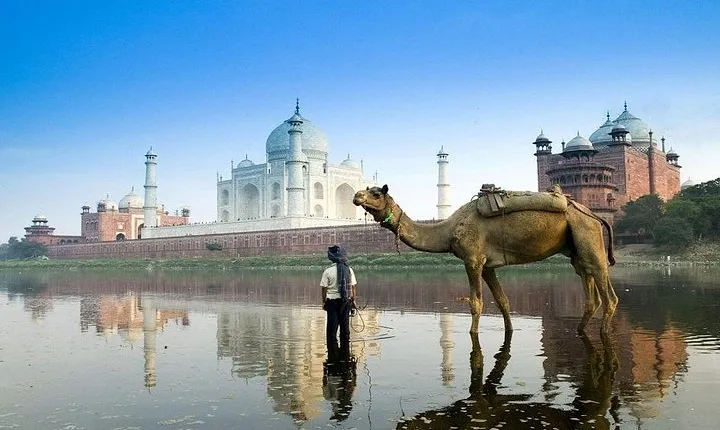Private Taj Mahal Sunrise Tour from delhi by car All inclusive