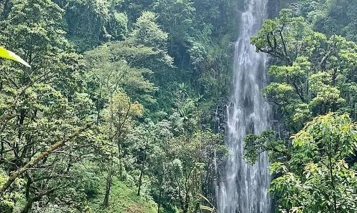 Materuni Waterfalls, Kikuletwa Chemka Hot springs, Coffee tour