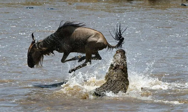 6 Days Arusha Private Tour