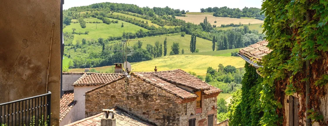 Trip to Albi and Cordes Sur Ciel from Toulouse